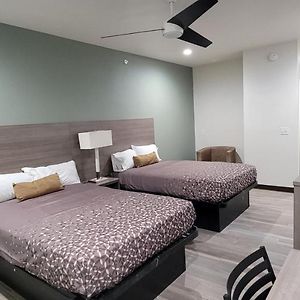King Bed Pet Friendly
